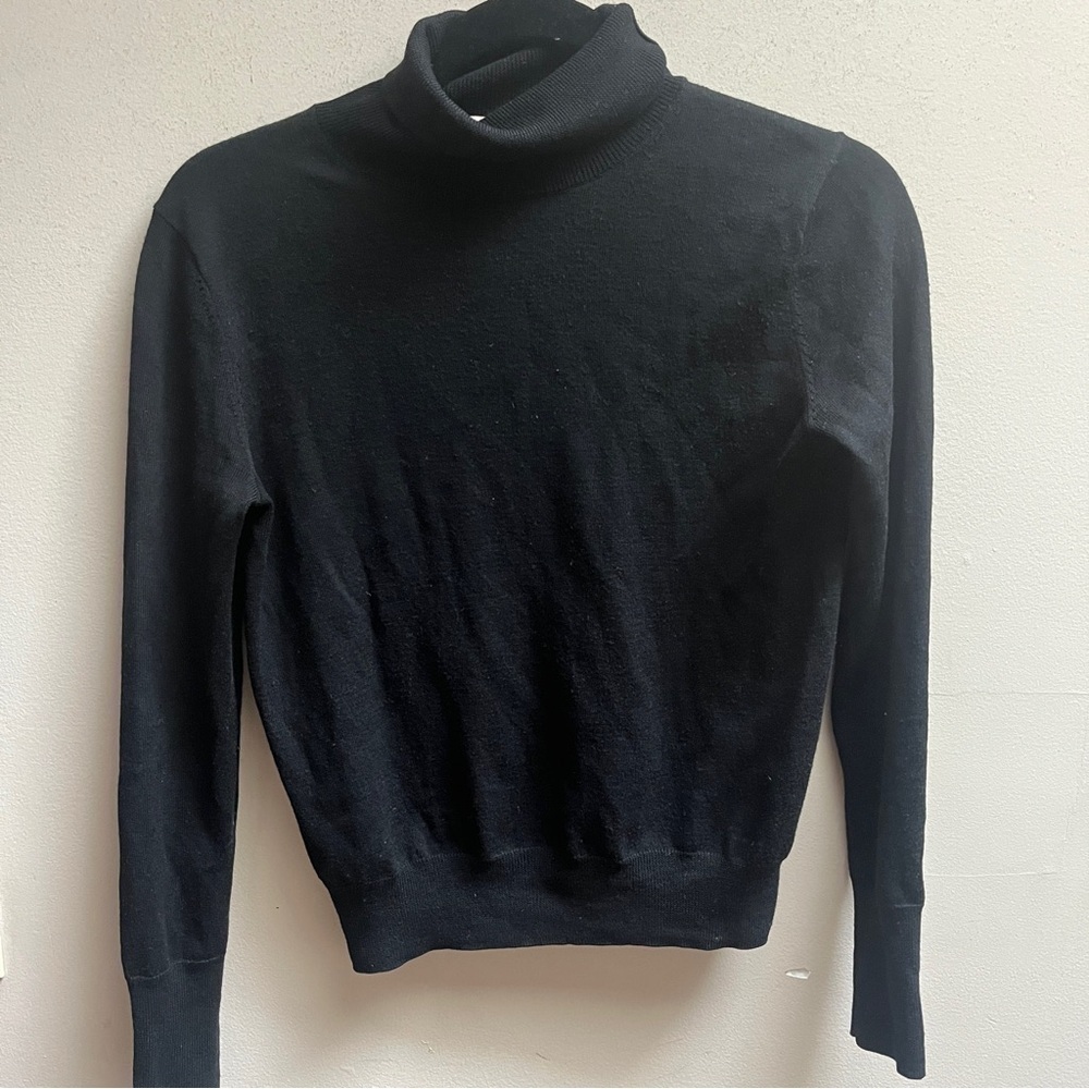 Wilfred Aritzia 100% Merino Wool turtleneck sweater Sz XS
